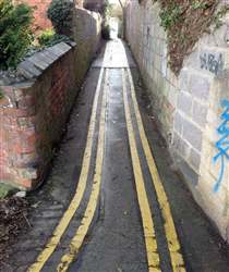 The thin yellow lines