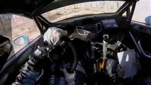 Ken Block's tree run