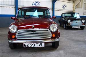 Minis go under the hammer