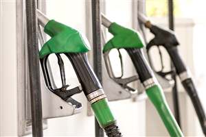 AA fuel duty rallying call