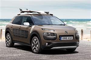 Special Edition C4 Cactus