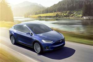 Model X to at Goodwood