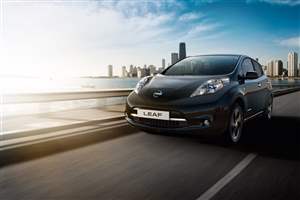 LEAF Black Edition on sale