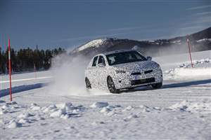 Corsa takes to the ice