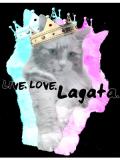 Live Love Lagata Live Love Lagata