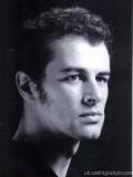 Stephen Mosley