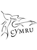 Theatr Clwyd Theatr Clwyd Logo
