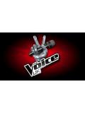 The Voice - Series 2 (BBC1) The Voice - Series 2 (BBC1) Logo