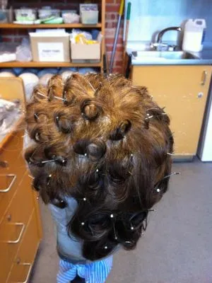 wig master uk