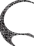Magnetic Giraffe