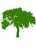 Tree Petts Casting Tree Petts Casting Logo