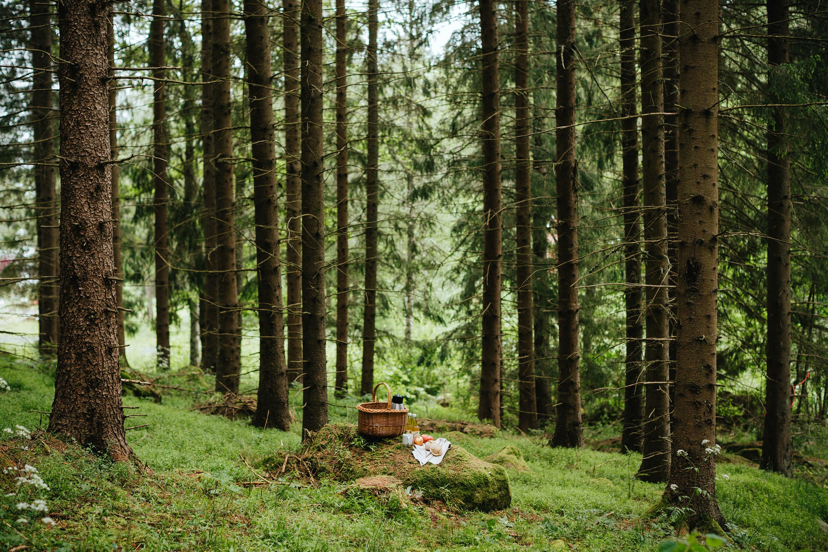 Bauergarden_190609_FOTOGRAF EMMA IVARSSON-1 (1).jpg