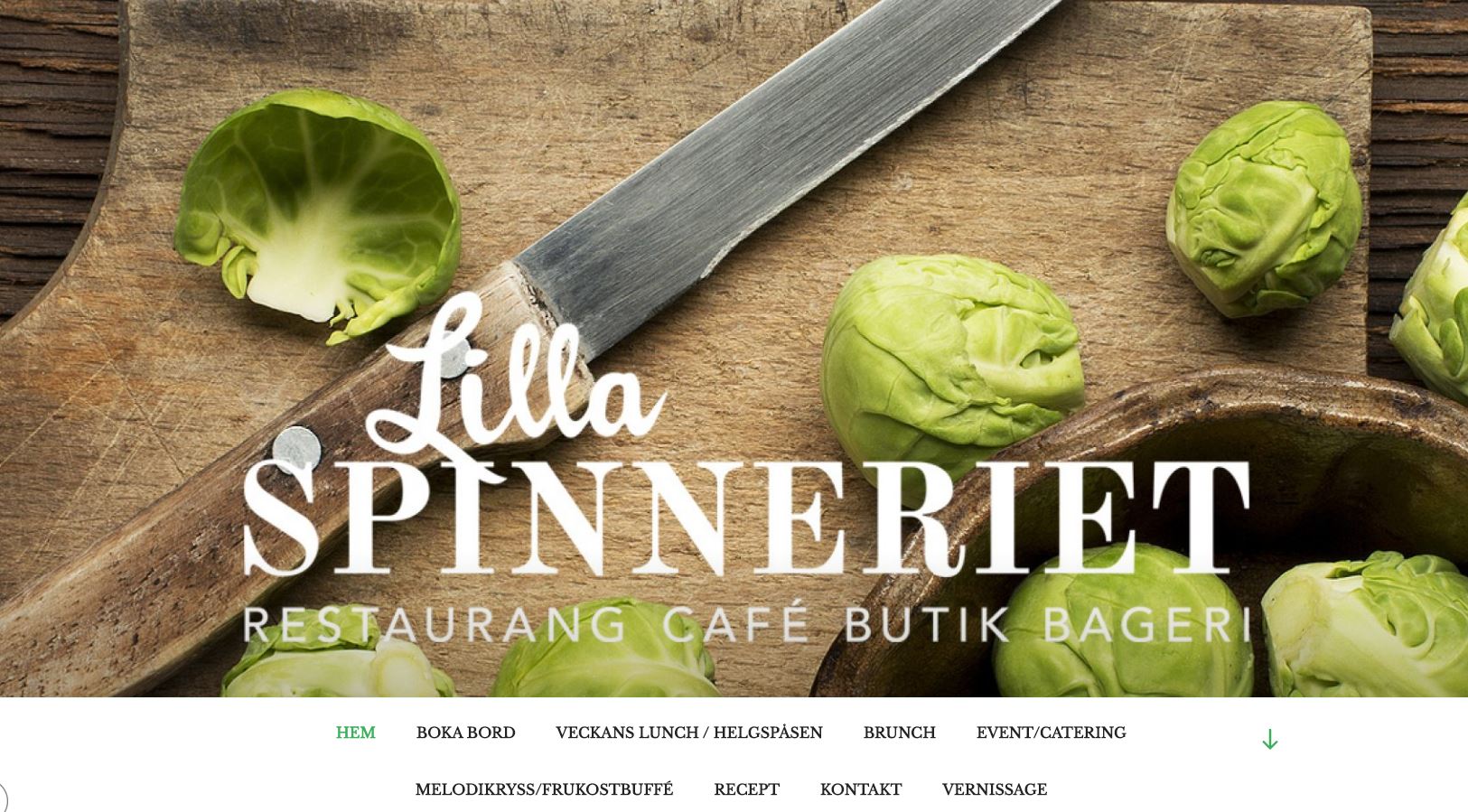 Lilla spinneriet webb.JPG