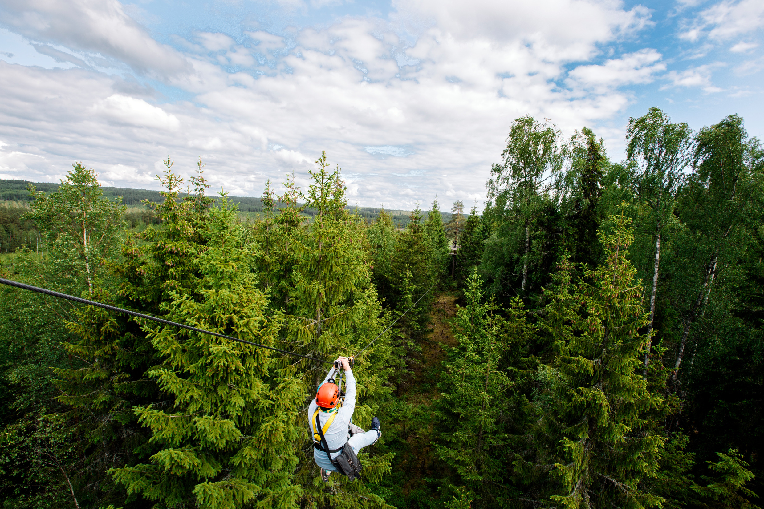 En person åker zipline över en tät skog i Sverige.