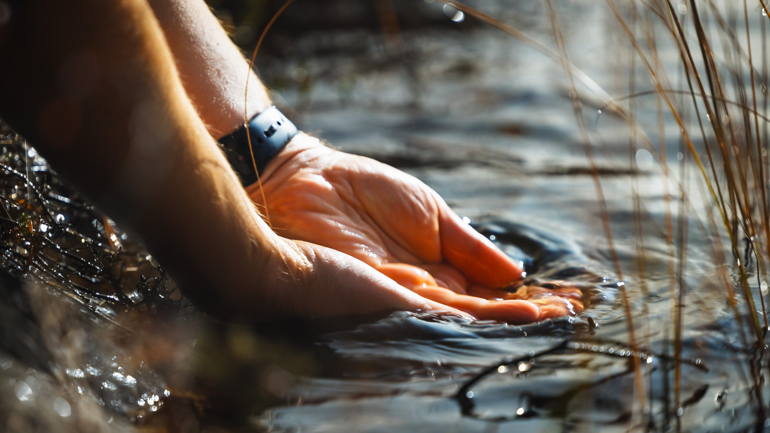 Två kupade händer sträcker sig efter vatten i en bäck.