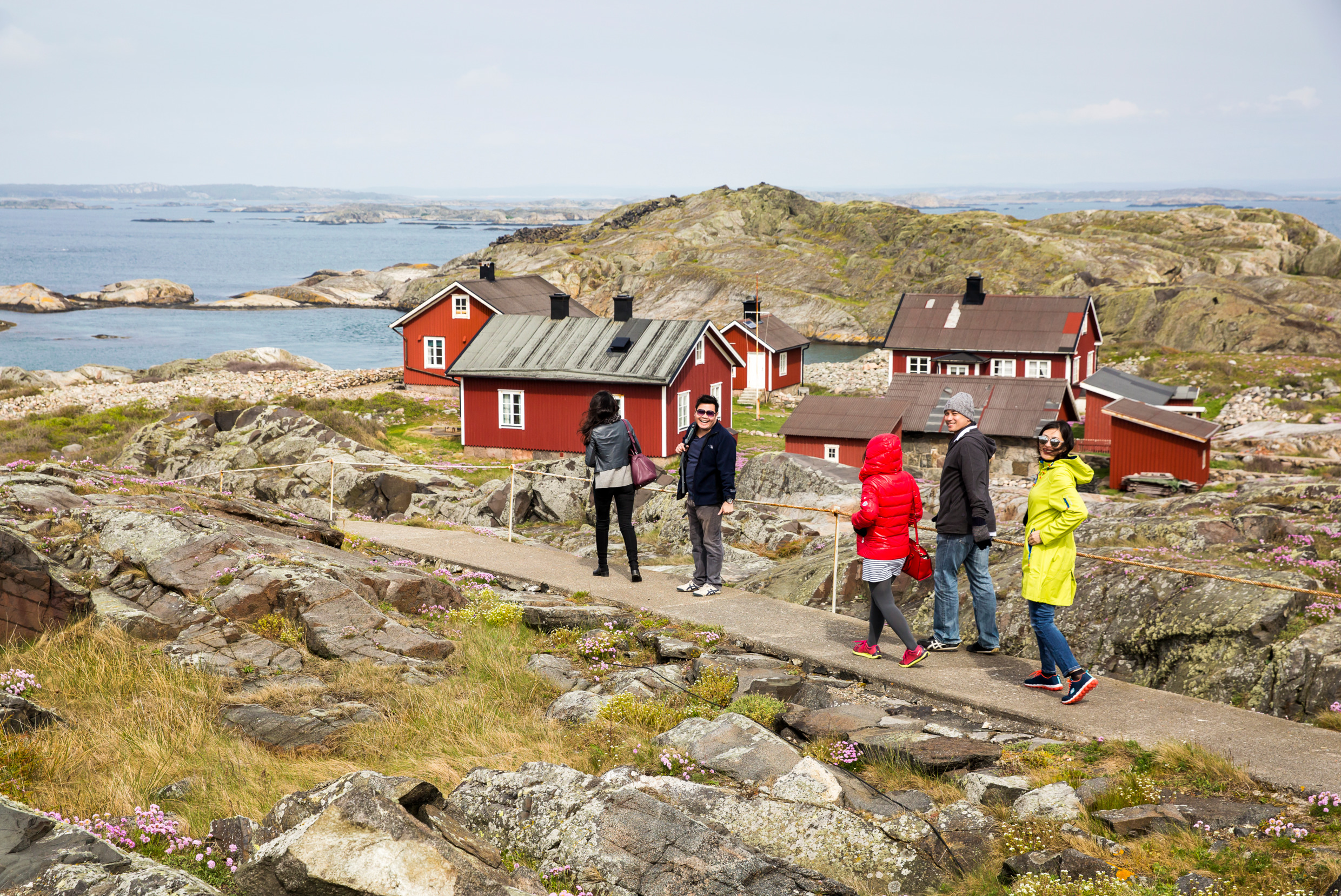 emelie_asplund-island_sightseeing-5439.jpg