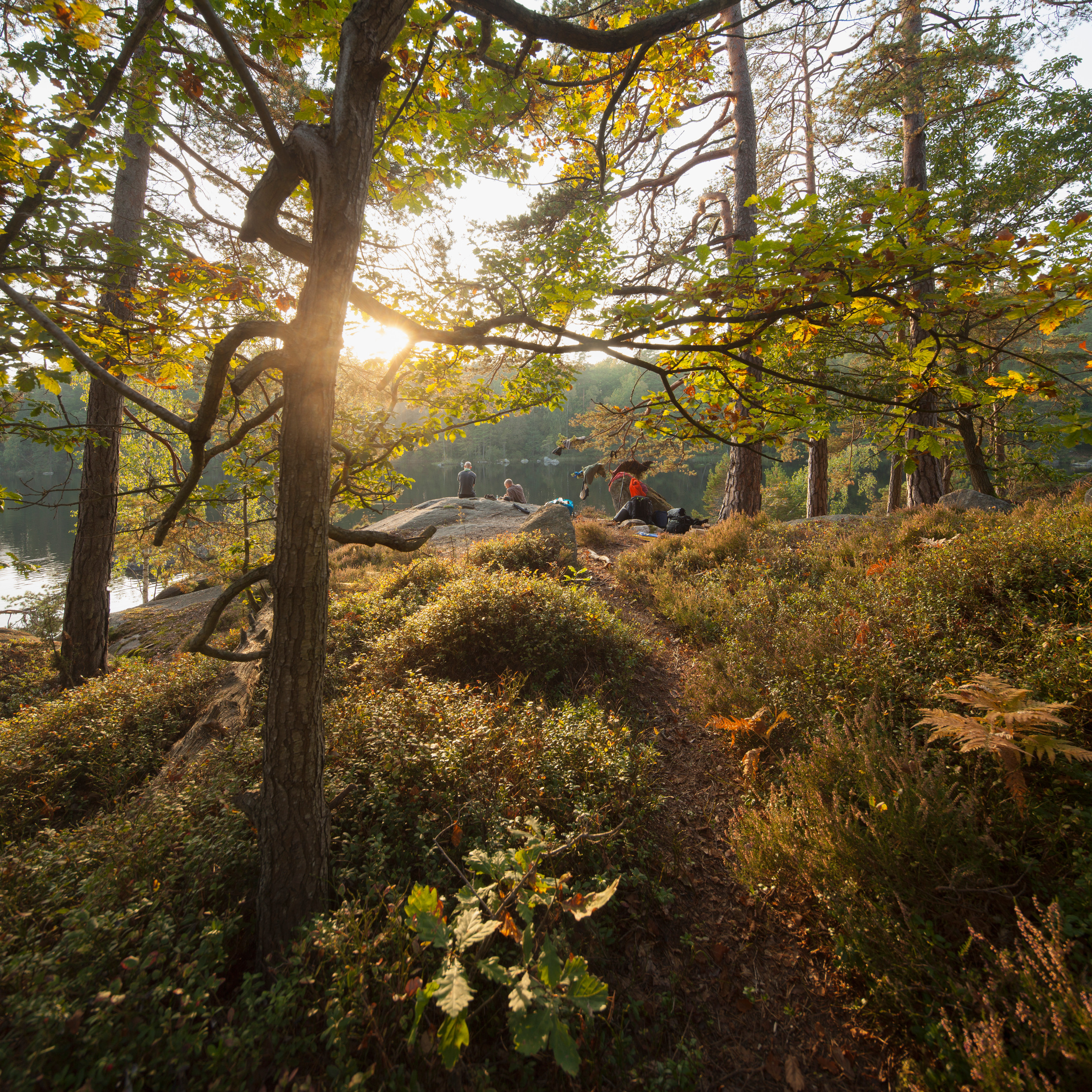 gustaf_emanuelsson-camping-5642