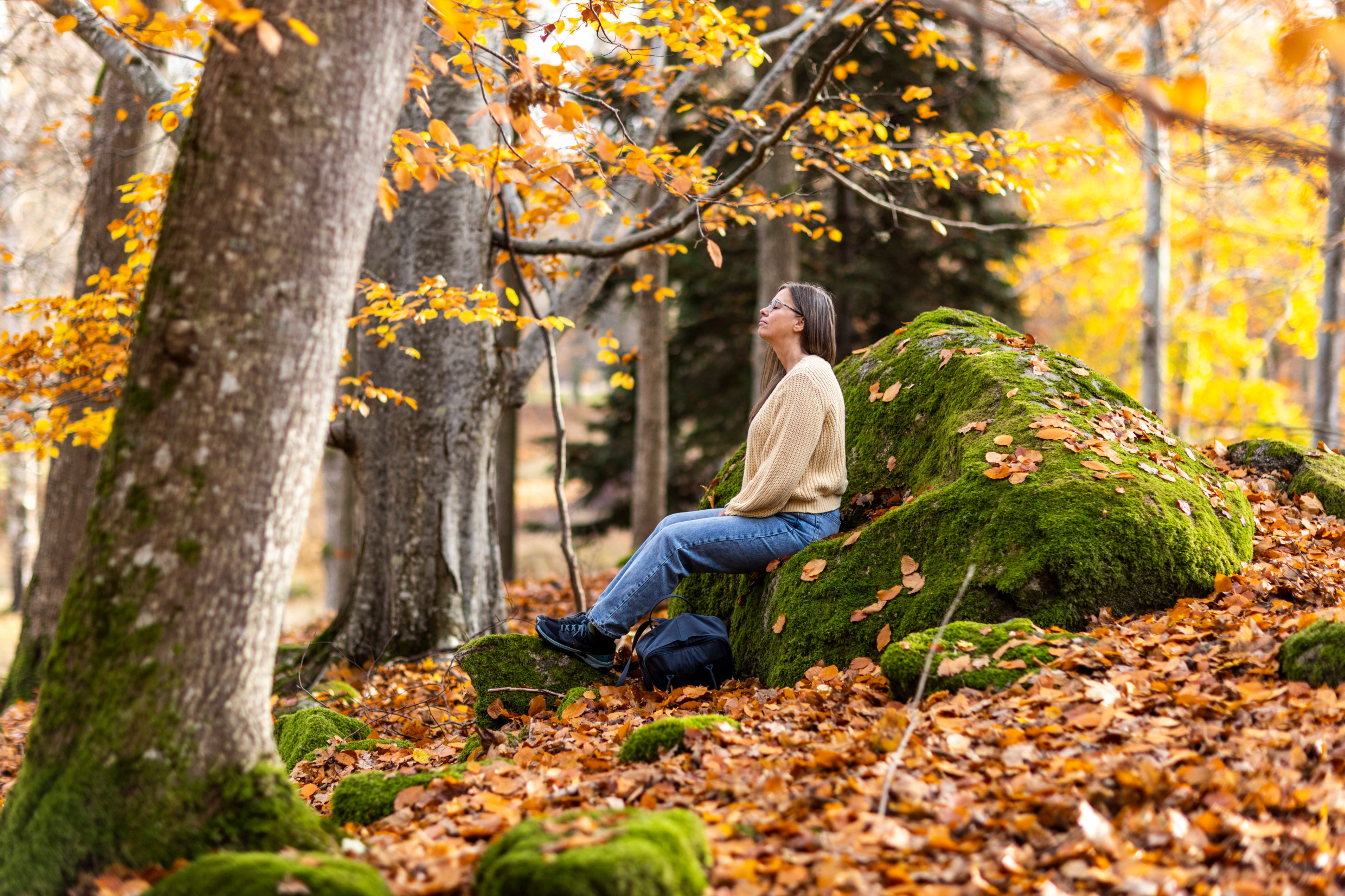 Det är höst och en kvinna sitter på en mossig sten i skogen och blundar.