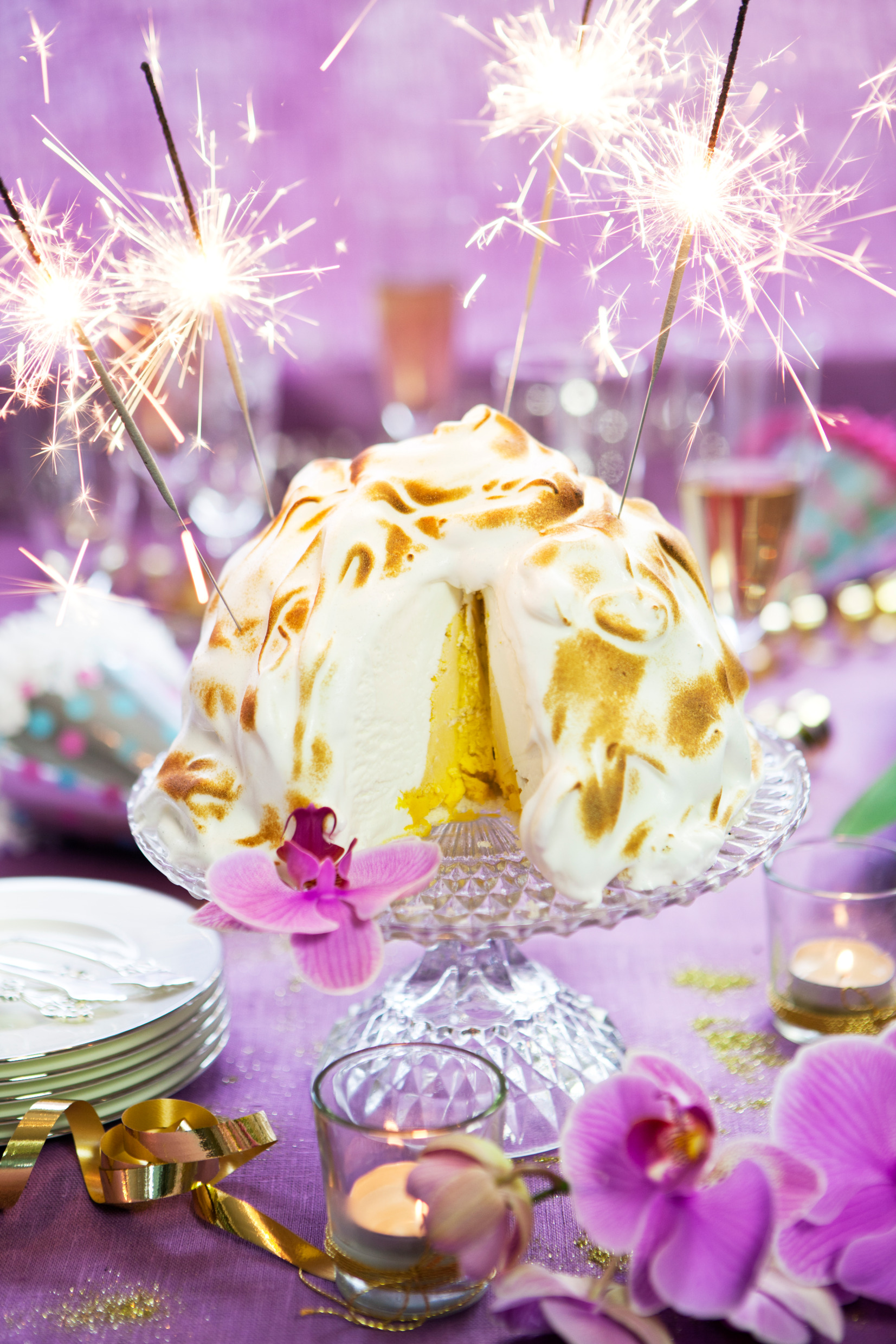 maskot-the_new_year-7471