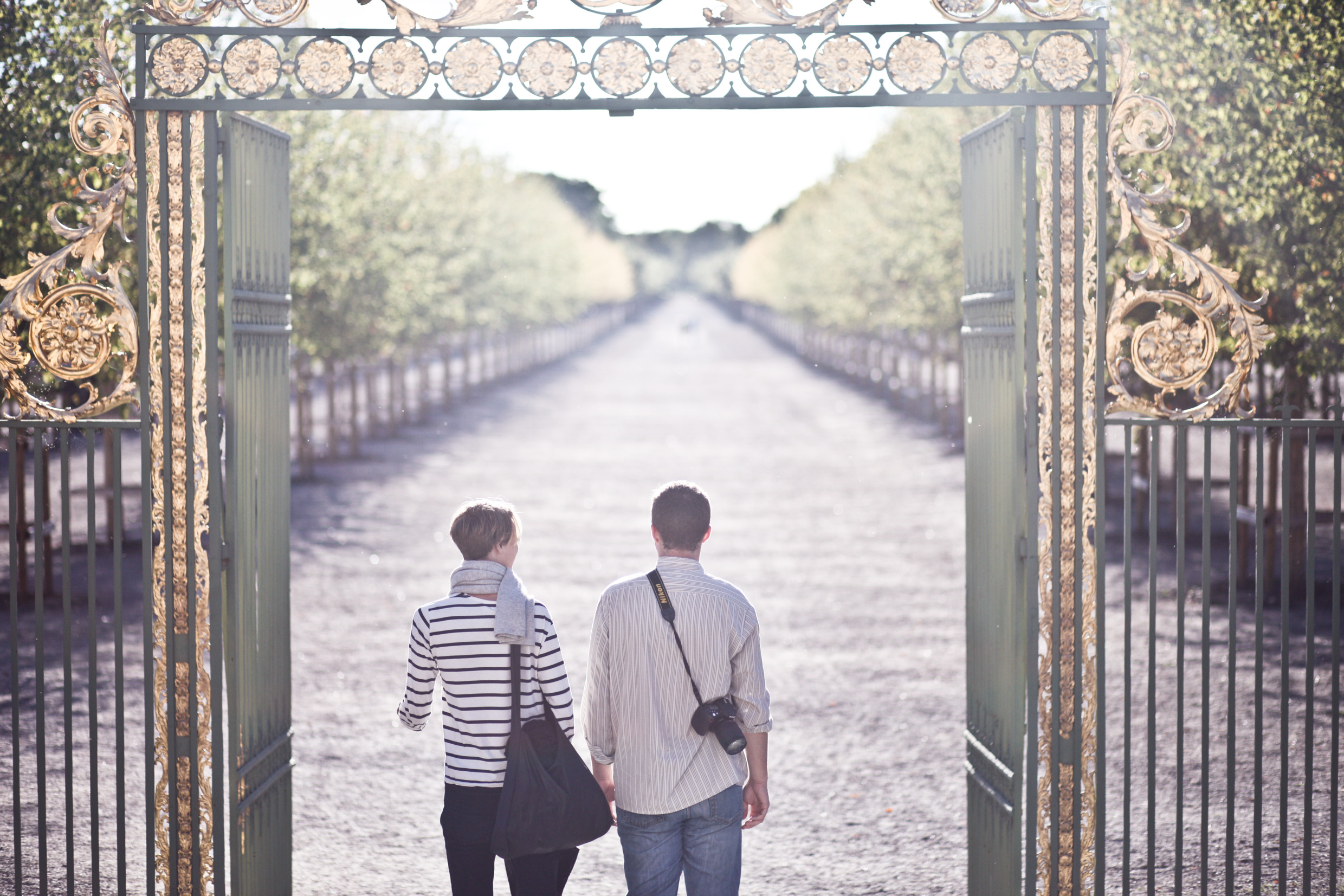 Två personer står i en guldbelagd järnport och ser ut över en vacker välansad allé i Drottningholmsparken, Stockholm.