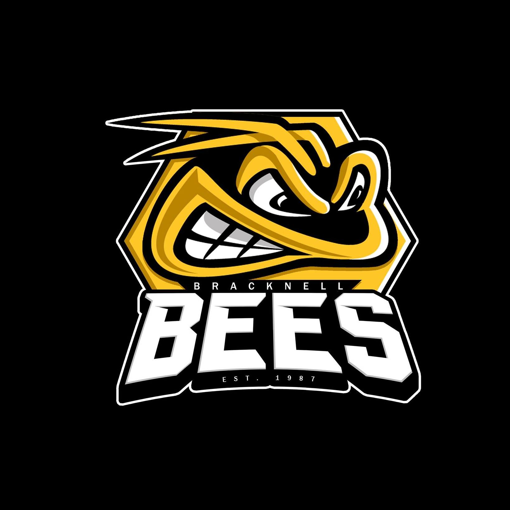 Bracknell Bee's Logo