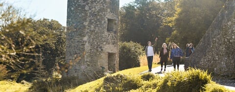 Private Cork Shore Excursion (Blarney)