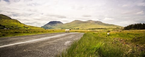 Private Day Tours from Dublin