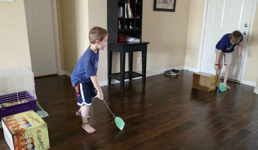 Fly Swatter Hockey Kidzapp