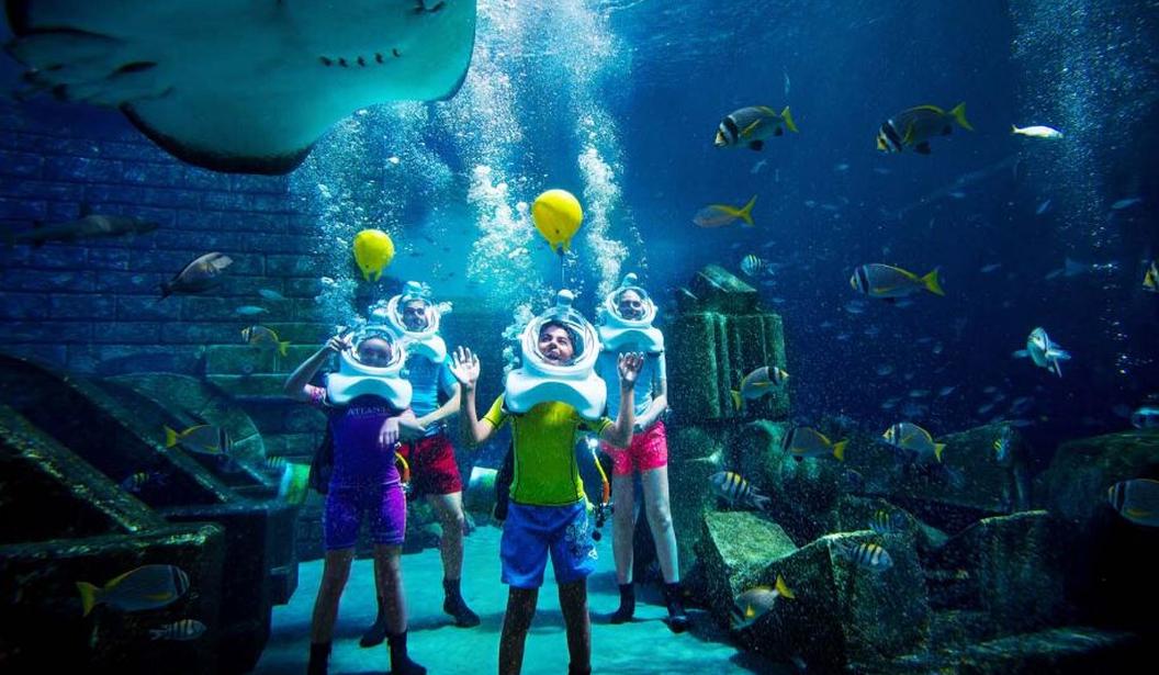 Aquatrek at Ambassador Lagoon Atlantis The Palm Kidzapp