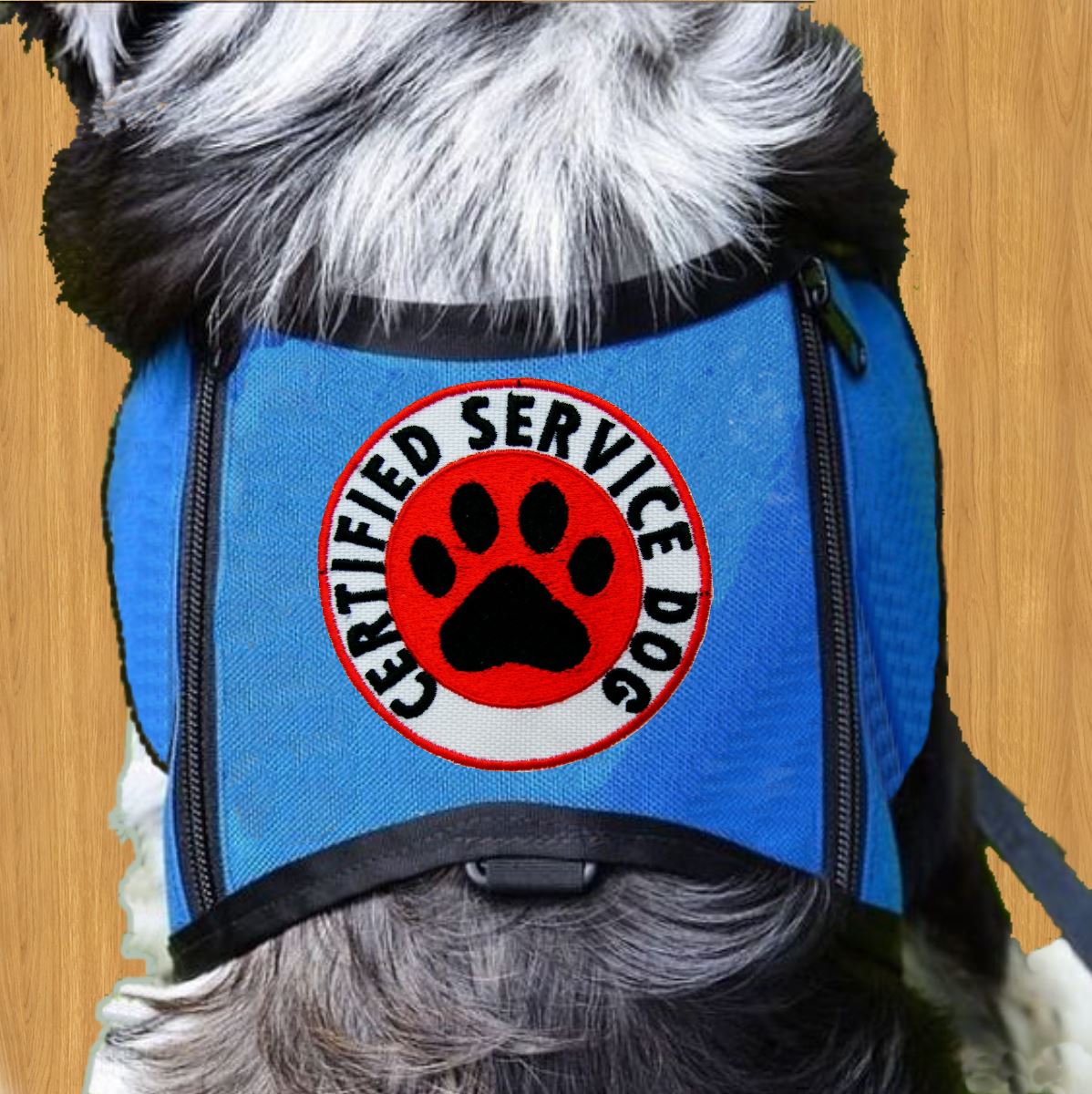 Personalised Dog Name Embroidered Patches Iron On Pet Badge Dog Harness Patch