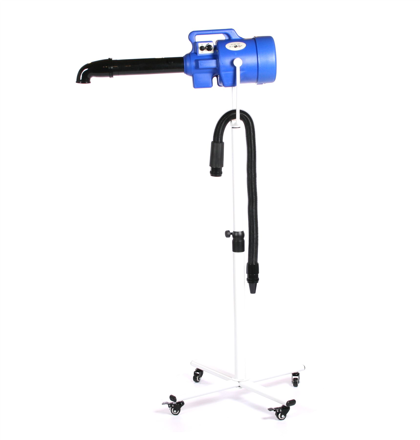 are male or female guinea pigs friendlier