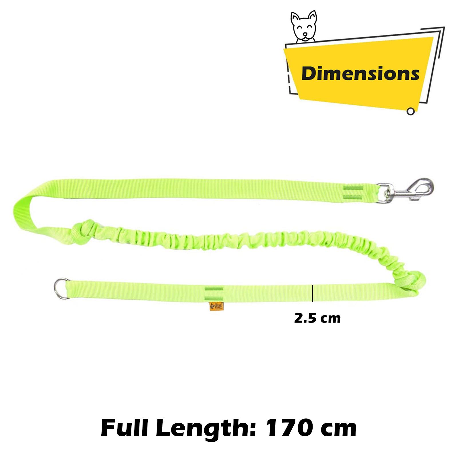 Dog Lead Bungee Shock Absorbing Running Leash Handle or HandsFree