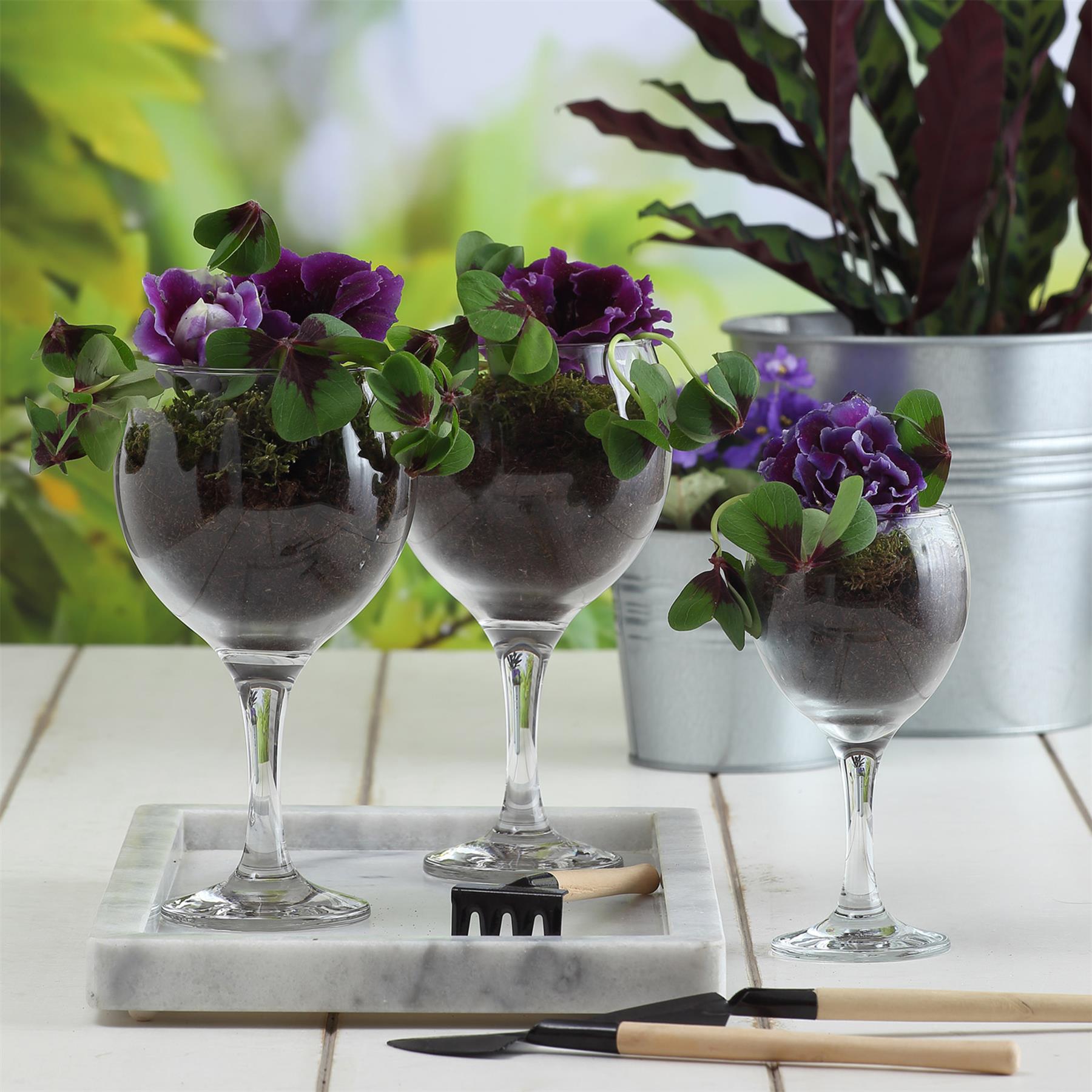 Misket White Wine Glasses - 170ml - Pack of 6