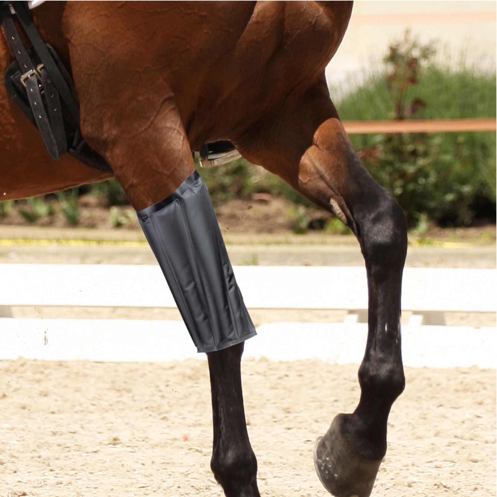 Set Of 4 Horse Knee Support Brace Sleeve Wrap Cap Stabilizer Hot And