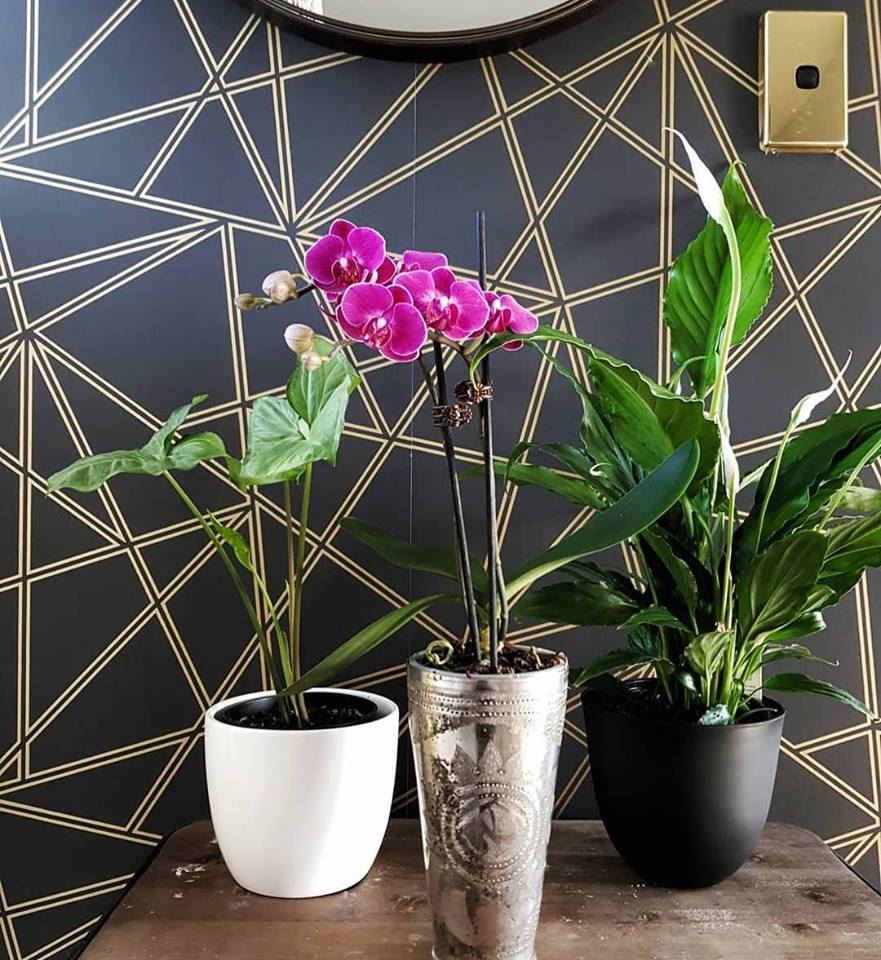 Holden Décor Paladium Modern Metallic Stripe Geometric Smooth Wallpaper - Picture 21 of 29