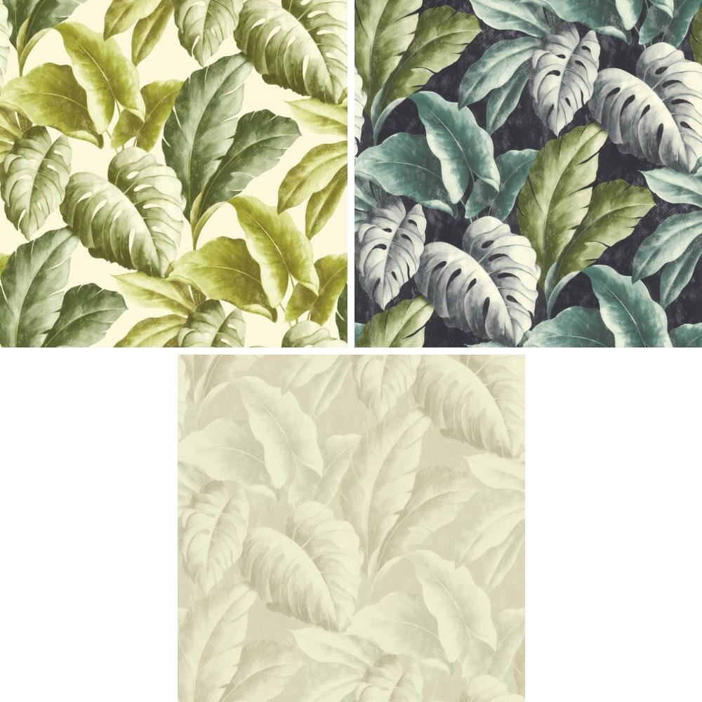 Avoir Images Grandeco Botanique Tropical Feuilles Motif Papier Peint Arbre le plus cool salutations