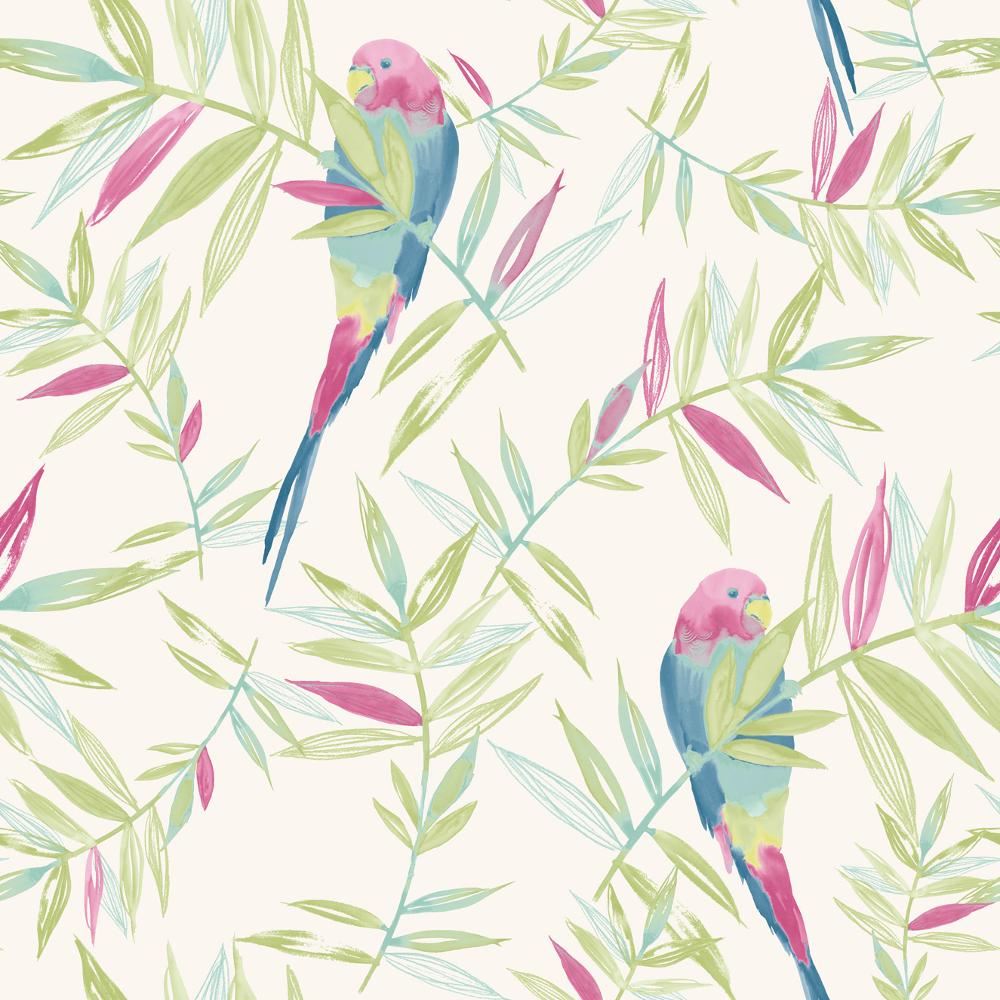 new rasch parrots bird