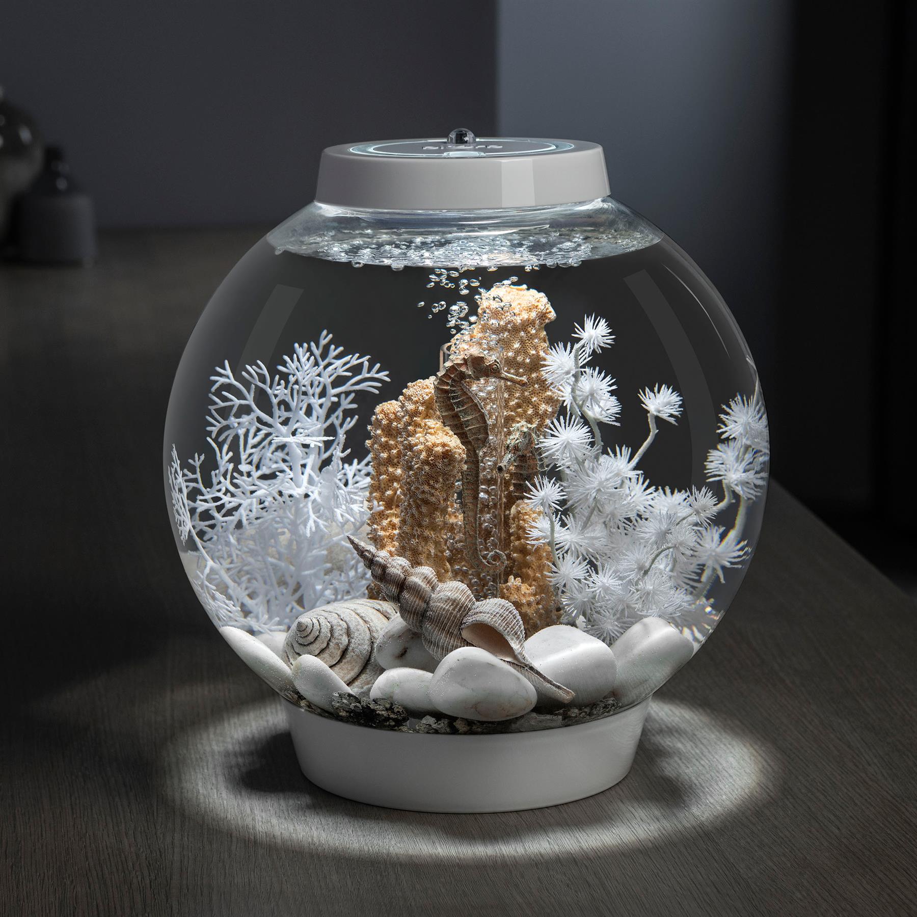 BIORB SEAHORSES ON CORAL AQUARIUM ORNAMENT DECORATION FISH TANK REEF