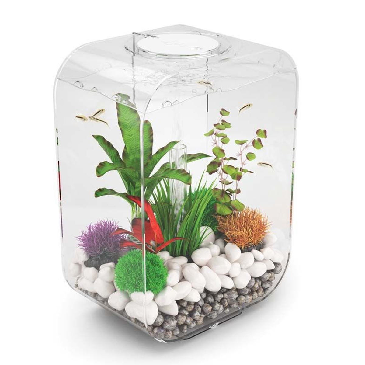 BIORB LIFE AQUARIUM ALL IN ONE FISH TANK WITH FILTER UNIT LED LIGHTING AIR PUMP eBay