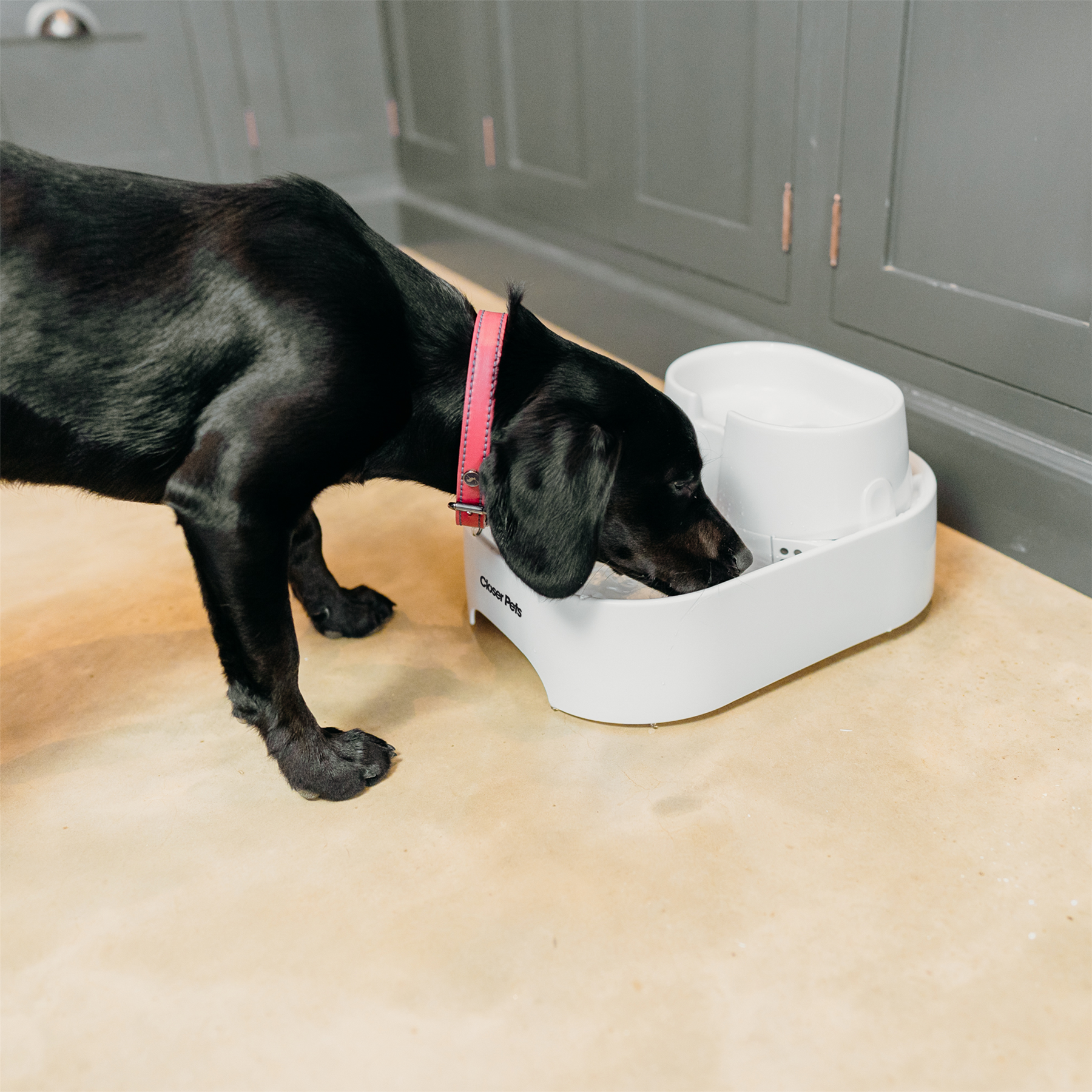 CAT MATE DRINK WATER FOUNTAIN FOR PET DOG FILTERED DRINKING BOWL DISH WELL - Picture 13 of 18