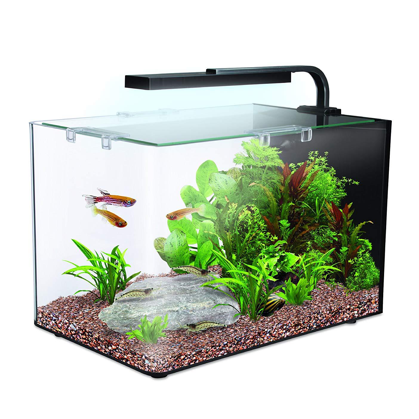 small led aquarium light