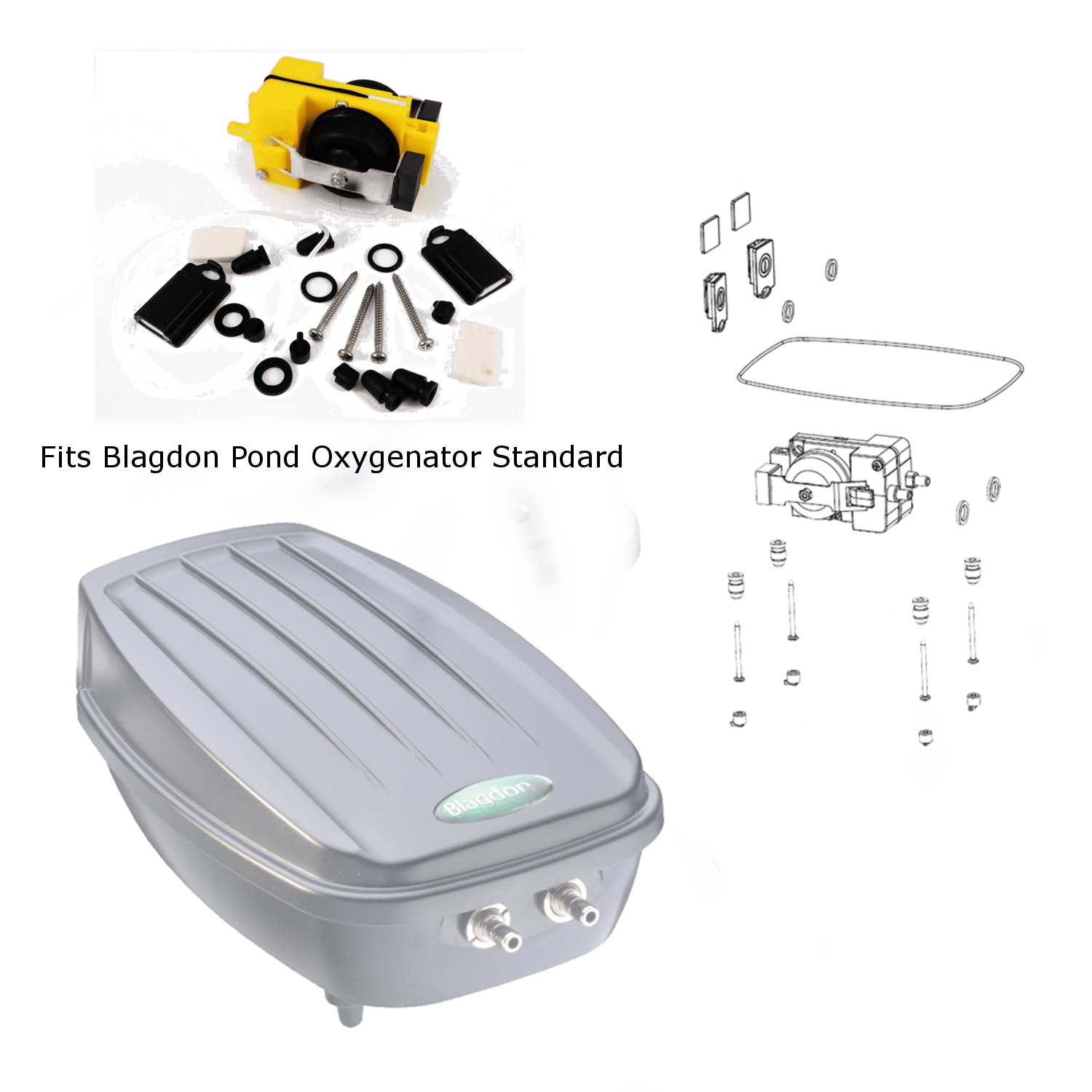 BLAGDON REPLACEMENT AIR PUMP SERVICE SPARE KIT POND OXYGENATOR REPAIR