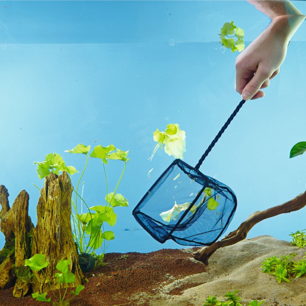 OASE INDOOR AQUARIUM FISH CATCH NET CLEANING MESH FISH TANK DEBRIS CLEAN eBay