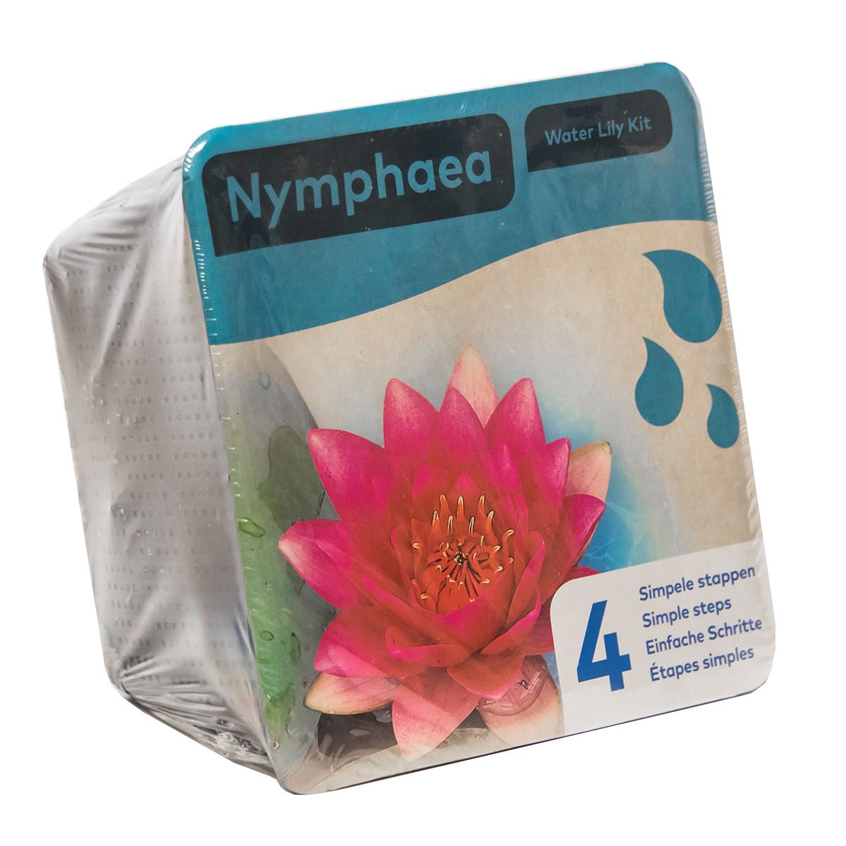 PREPACKED WATER LILY POND PLANT BASKET GARDEN AQUATIC LILLIES LIVE