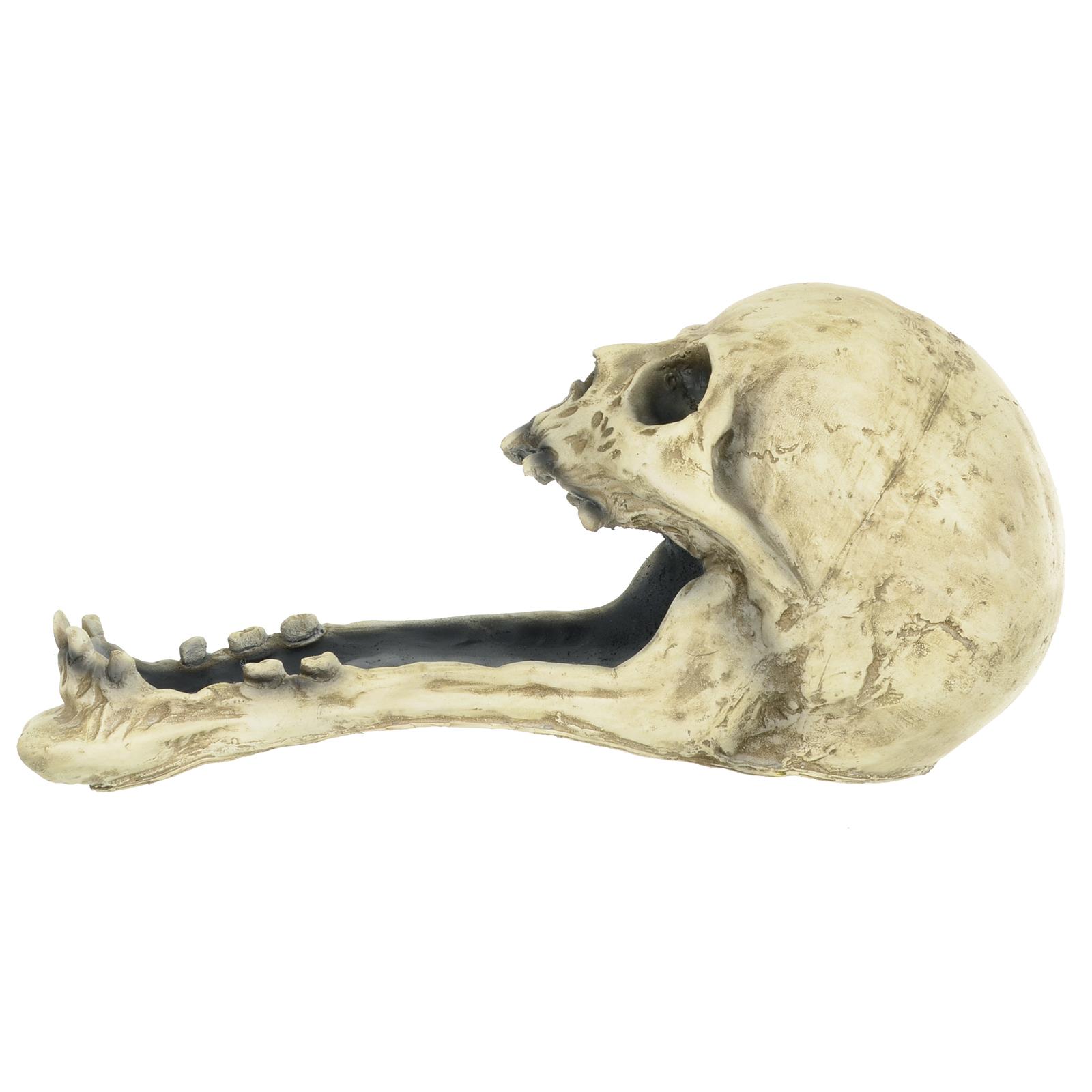 Large Halloween Candy Holder Long Jaw Sweet Tray Treat Table Decoration 34cm - Picture 8 of 9