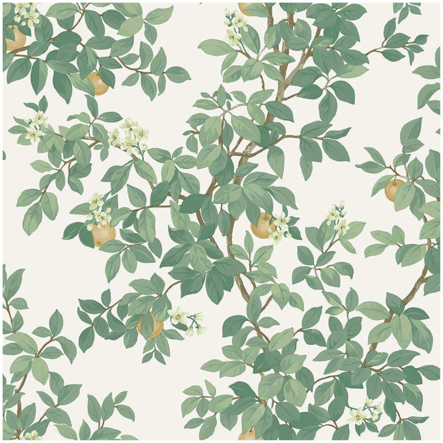 Holden Decor Orange Tree Cream Green Wallpaper Botanical Paste The Paper