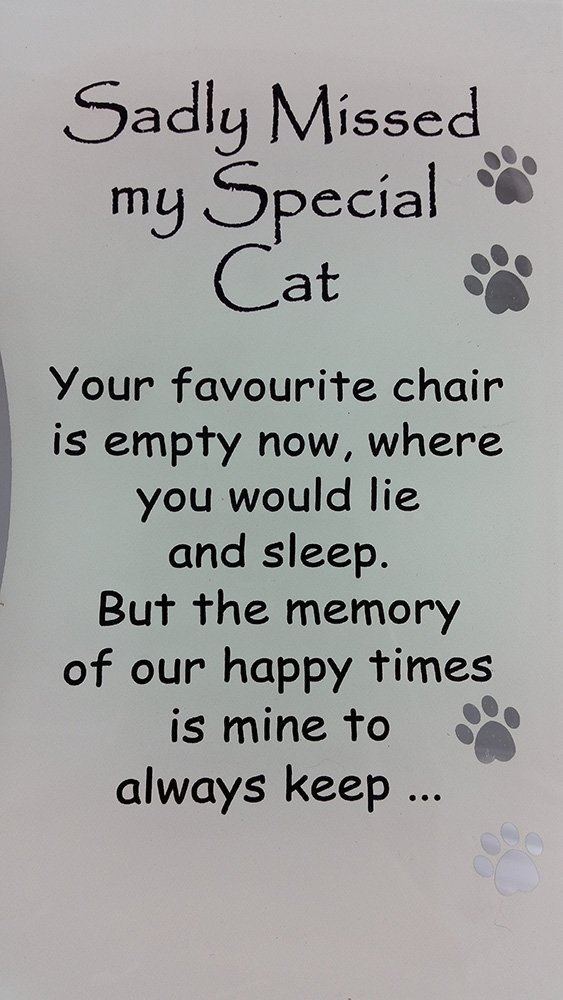 Cat memorial photo frame sadly missed special cat poem memory love pet