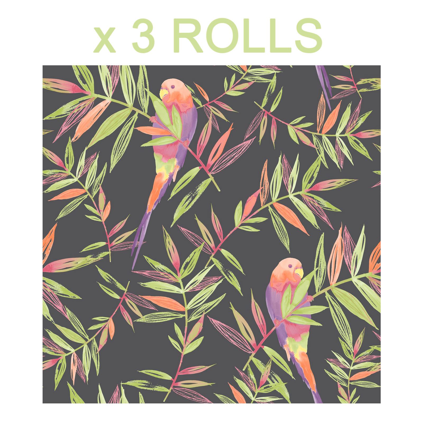 Tropical Parrot Birds Wallpaper Animal Print Floral Leaves Jungle Black Rasch