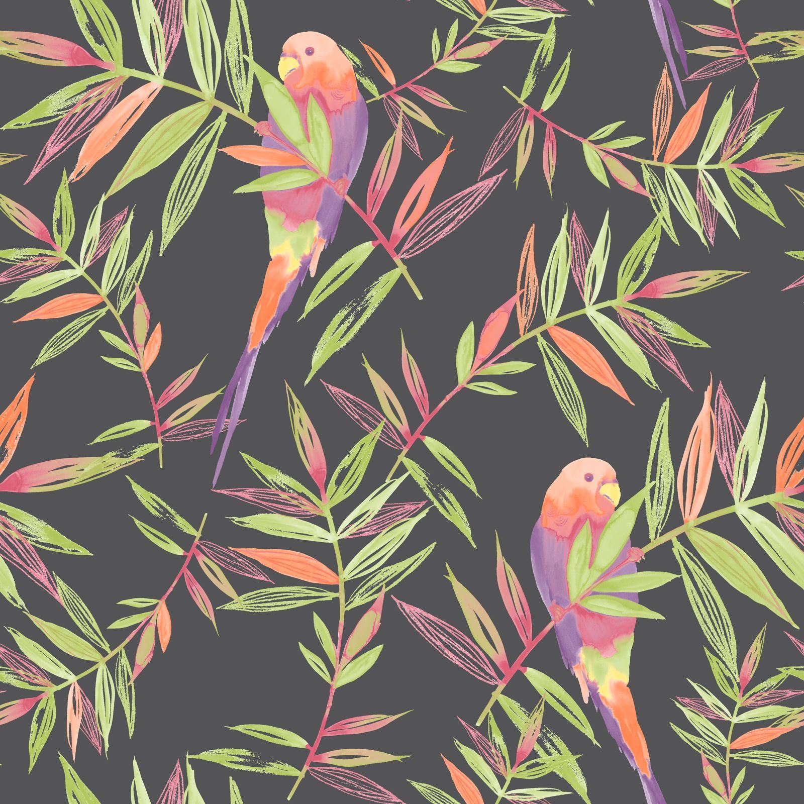 Rasch Tropical Parrot Birds Wallpaper Animal Print Floral Leaves Jungle Black
