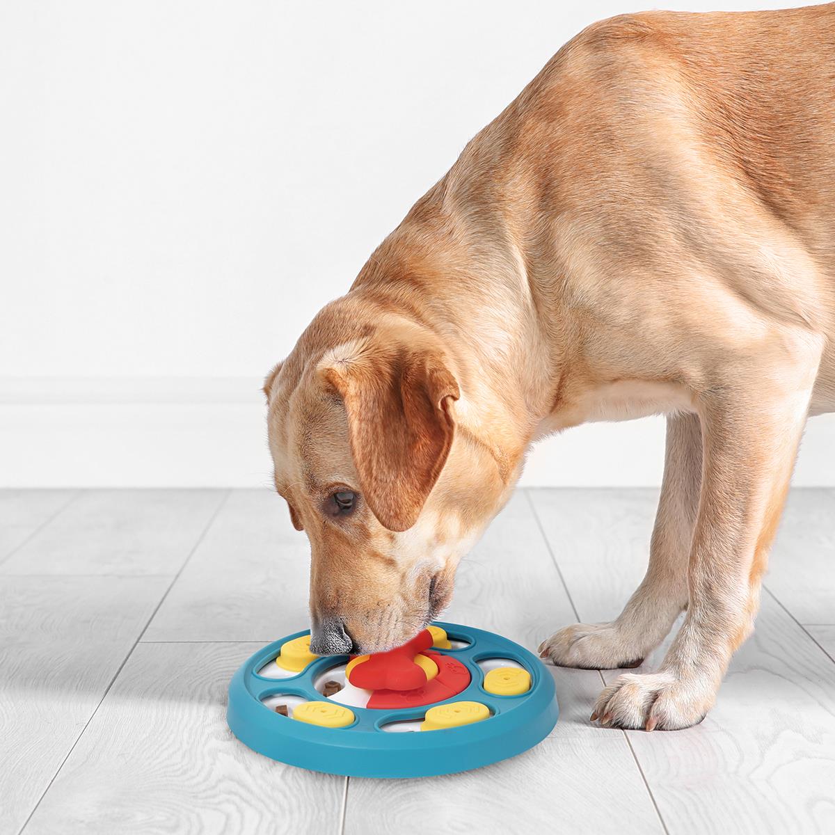 Treat Puzzle Toy Pet Dog Puppy Squeaker Interactive Stimulating Play Enrichment - Picture 3 of 22